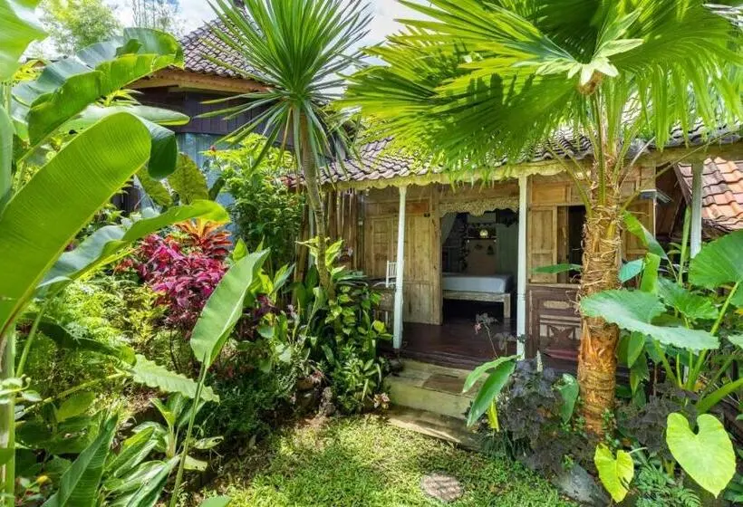 اتاق استاندارد با چشم‌انداز استخر, Bali Brothers Guesthouse