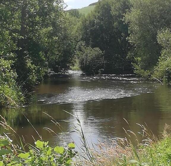 غرفة قياسية, The Reindeer Retreat Buttercup Twin