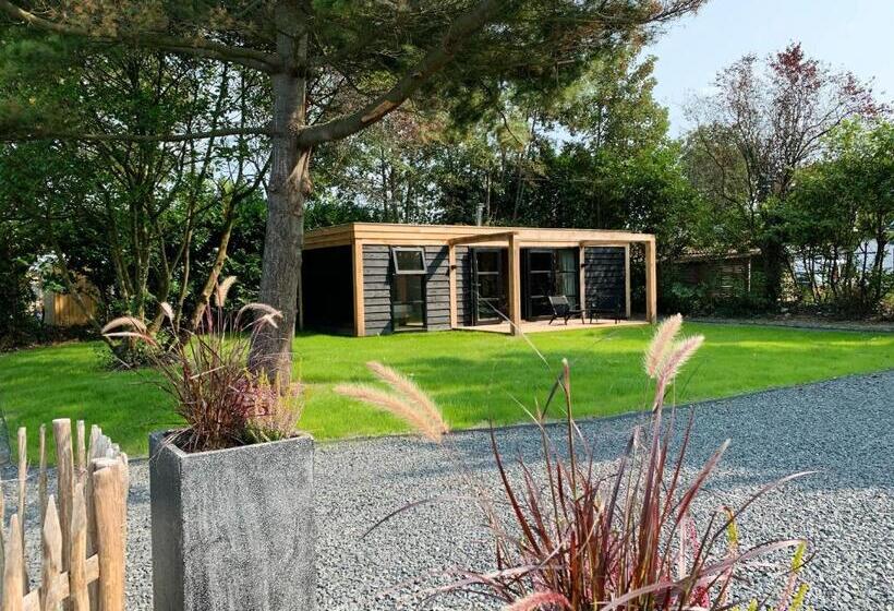 标准间, Hoogtij°d