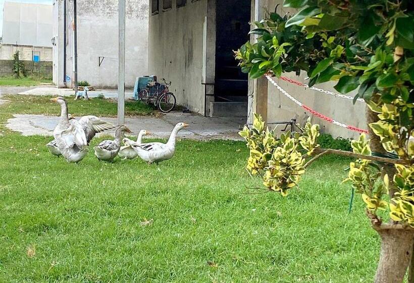 スタンダードトリプルルーム, Agriturismo Corte Filippi