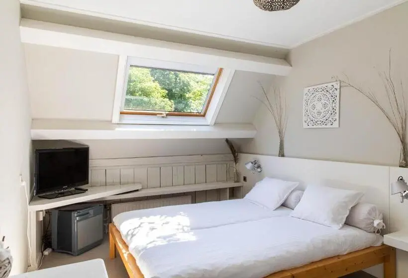Standard-huone, Room Villa 1913