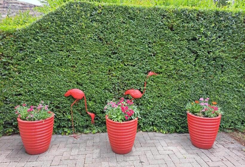 Номер Стандарт, Bella Rosa Cottage