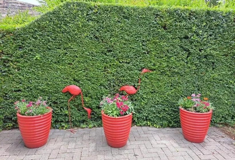 スタンダードルーム, Bella Rosa Cottage