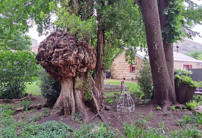 Классический Номер, Bella Rosa Cottage