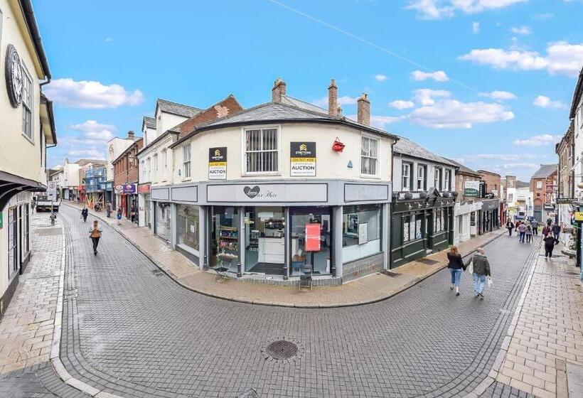 디럭스 스튜디오, Cuckoo Rooms