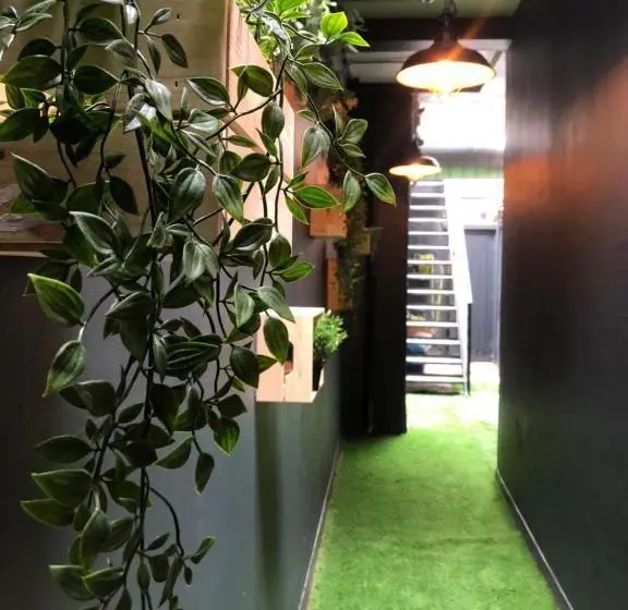 デラックススタジオ, Cuckoo Rooms