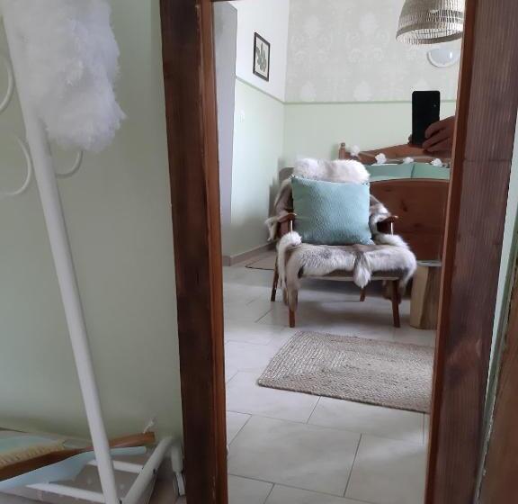 اتاق استاندارد, Hiša Antonija