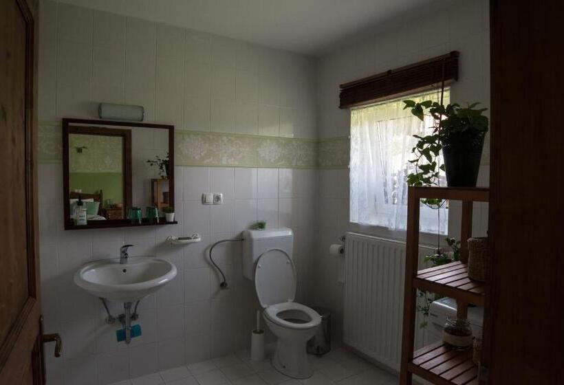 اتاق استاندارد, Hiša Antonija