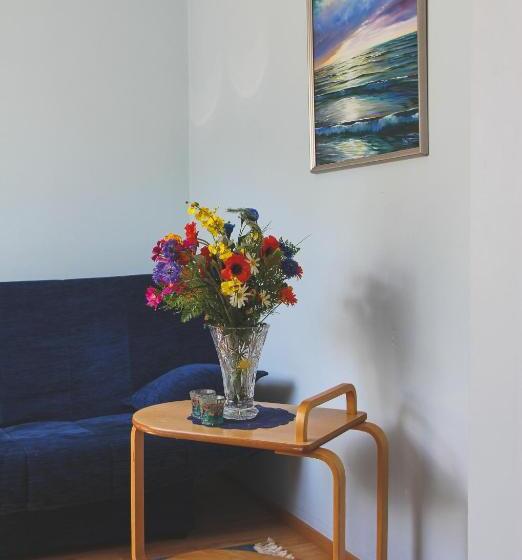 سوئیت جونیور خانوادگی, Nette