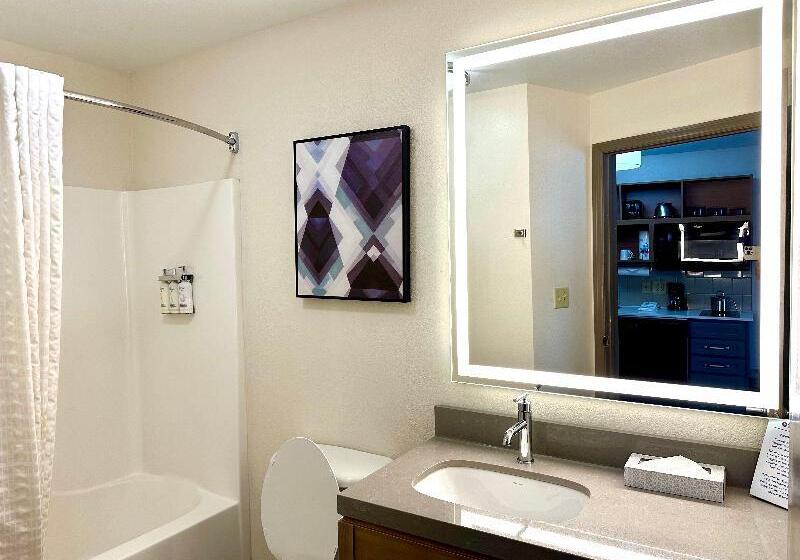 带大床的标准工作室, Candlewood Suites Savannah Airport, An Ihg