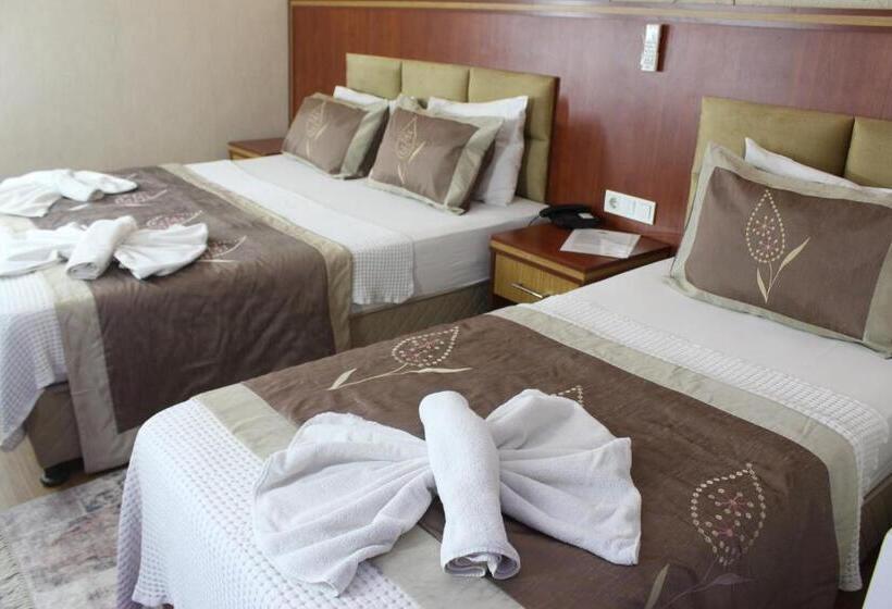 غرفة قياسية, Hermanos