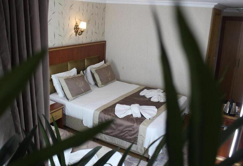 غرفة قياسية, Hermanos