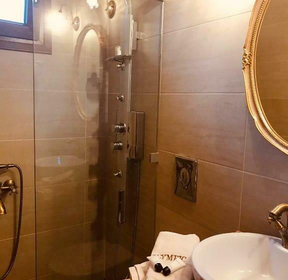 マウンテンビュースタンダードルーム, Olympic