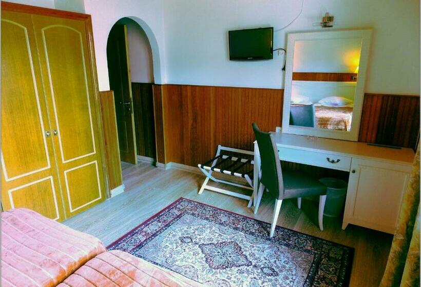 マウンテンビュースタンダードルーム, Olympic