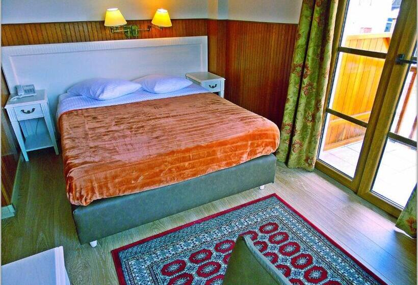 マウンテンビュースタンダードルーム, Olympic