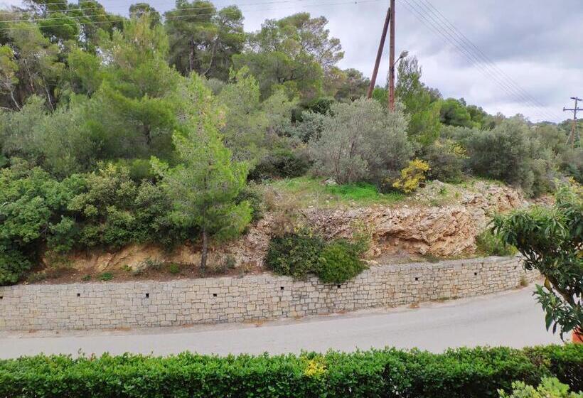 اتاق کلاسیک, Xenia Poros Image