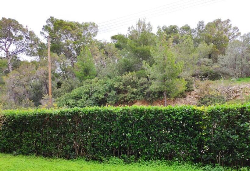 اتاق کلاسیک, Xenia Poros Image