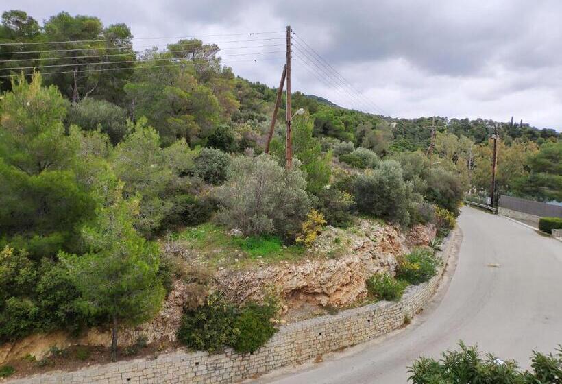 اتاق کلاسیک, Xenia Poros Image