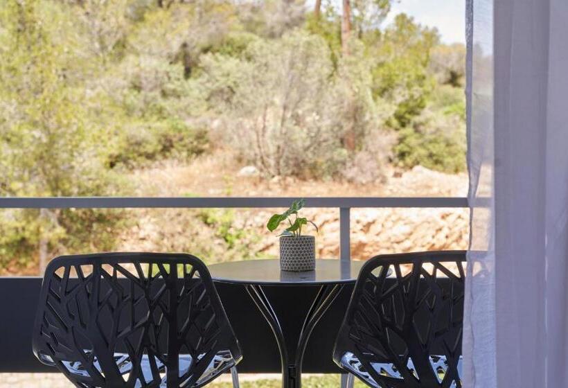 اتاق کلاسیک, Xenia Poros Image