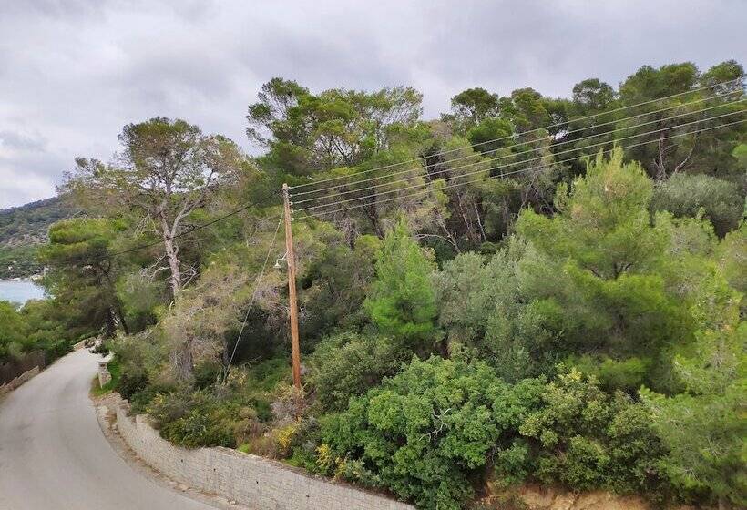 اتاق کلاسیک, Xenia Poros Image