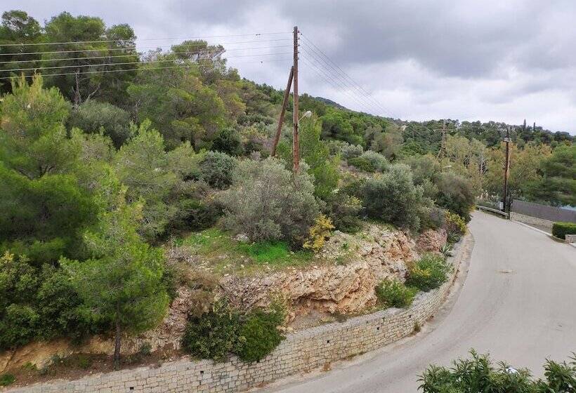 اتاق کلاسیک, Xenia Poros Image