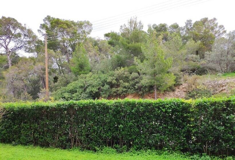 اتاق کلاسیک, Xenia Poros Image