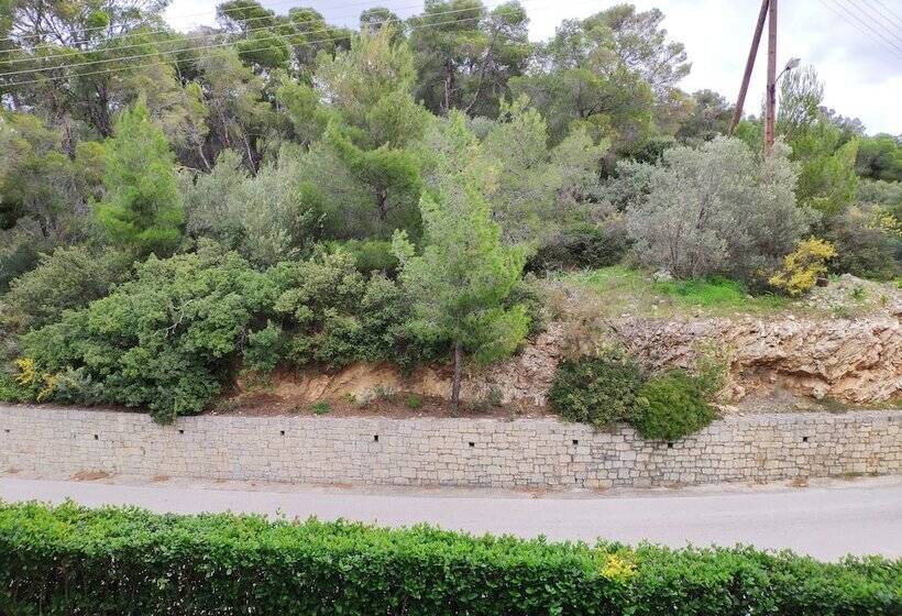 اتاق کلاسیک, Xenia Poros Image