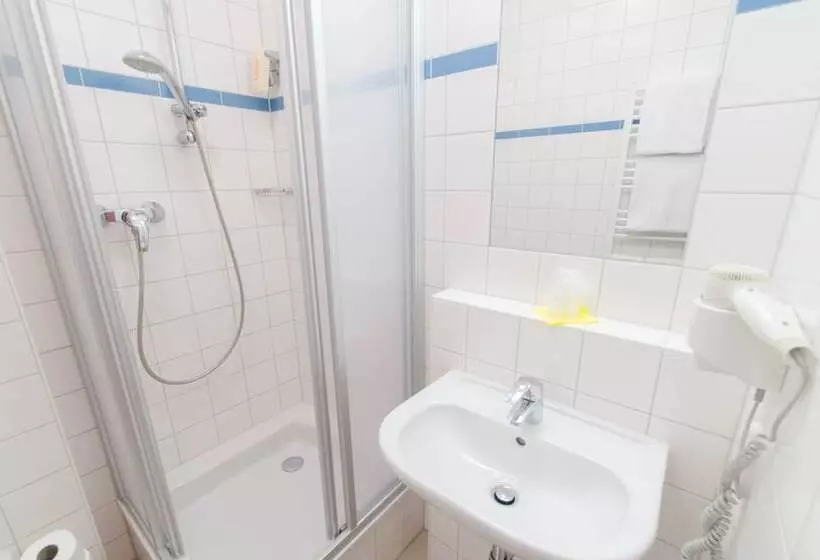اتاق استاندارد یک نفره, Jufa Hotel Kaprun