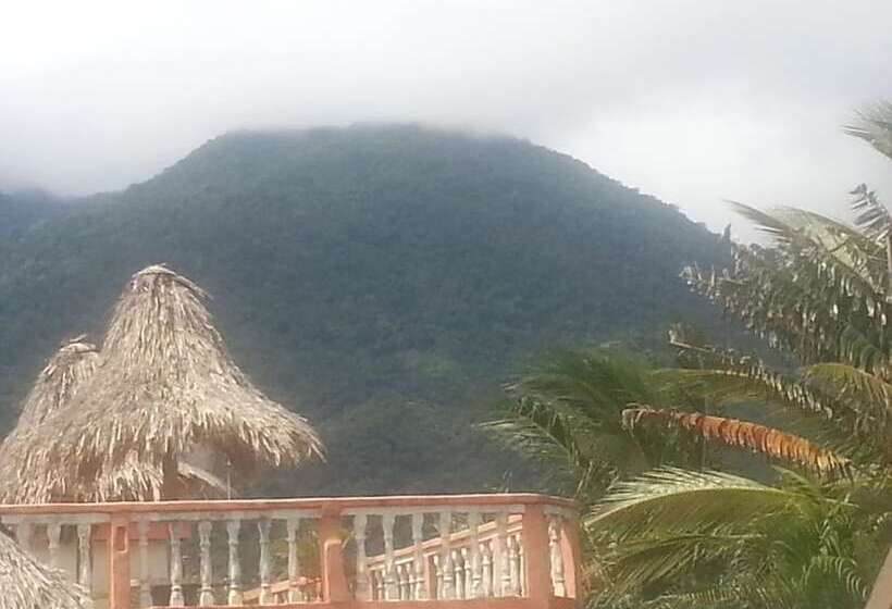 اتاق استاندارد, La Delphina Bed And Breakfast Bar And Grill