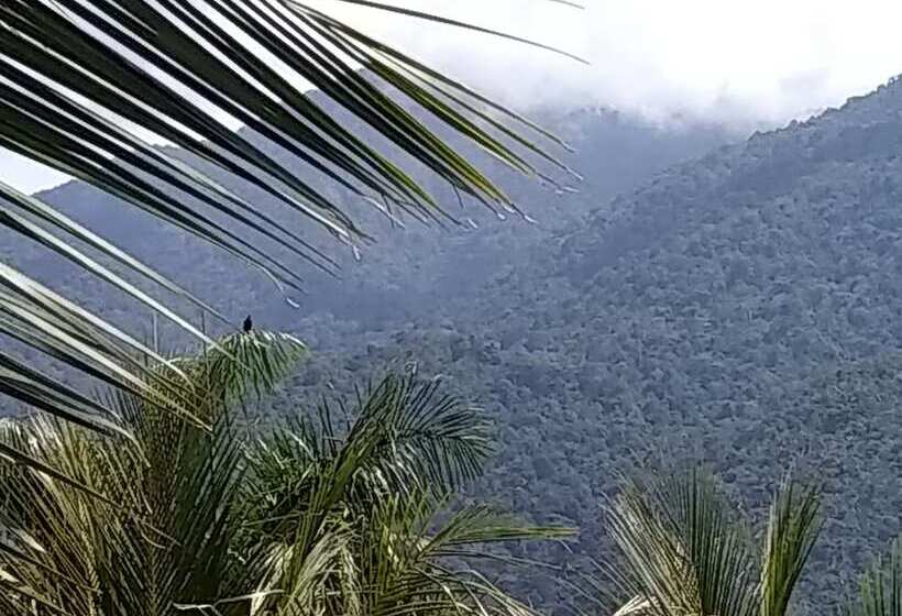 اتاق استاندارد, La Delphina Bed And Breakfast Bar And Grill