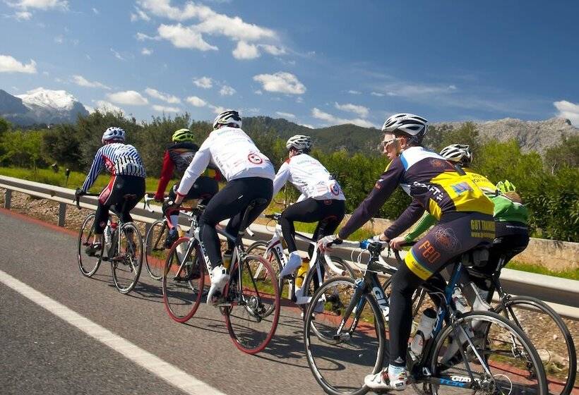 Апартаменты 1 Спальня, Palm Garden