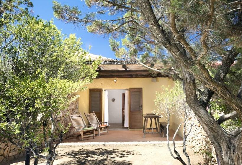 شقة غرفتين, Residenza Capriccioli