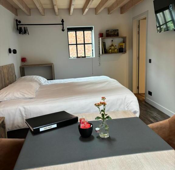 חדר סטנדרט עם טרסה, B&b Sint Mariaburg