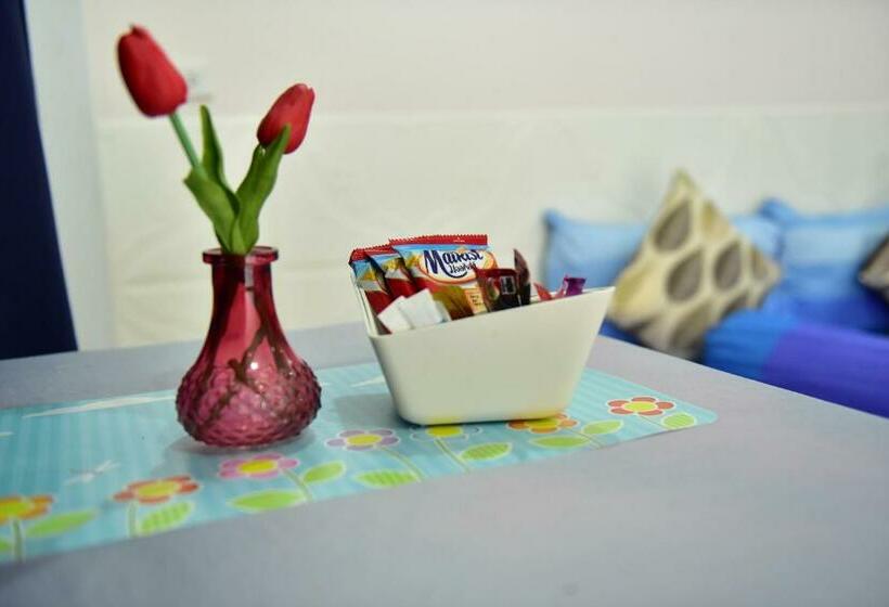 Номер Стандарт, Kt Knight