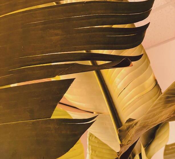 标准间, Futura&relax