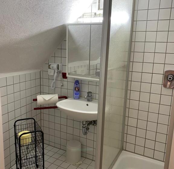 스탠다드 싱글 룸, Waldhorn