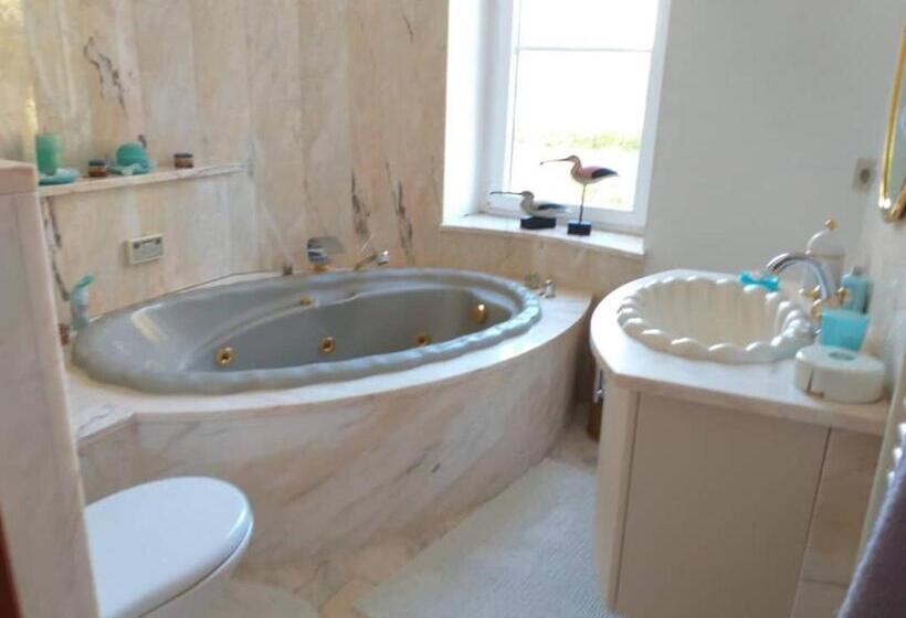 스탠다드 자쿠지 룸, Château Les Tourelles