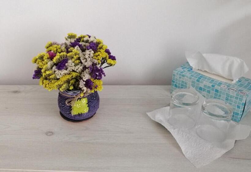 标准间带阳台, Check In Kaya