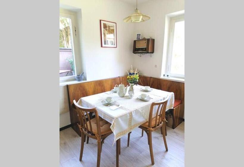 شقة غرفة واحدة, Dimai House 1950s