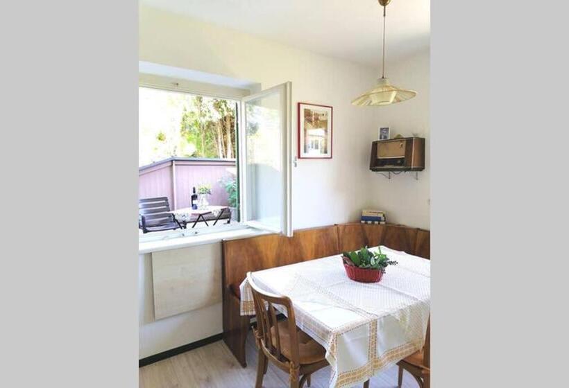 شقة غرفة واحدة, Dimai House 1950s