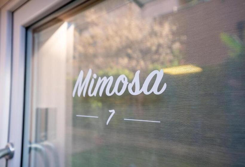 آپارتمان 1 خوابه همکف, B&b Villa Rosa