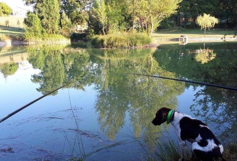 Номер Стандарт Вид на Озеро, Gîte Baden