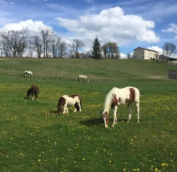 レイクビュースタンダードルーム, Gîte Baden