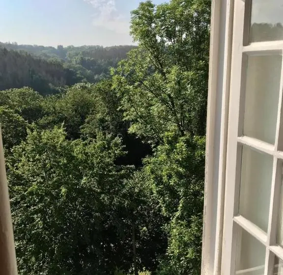 庭の見える１ベッドルームアパートメント, Villa Erbschloe