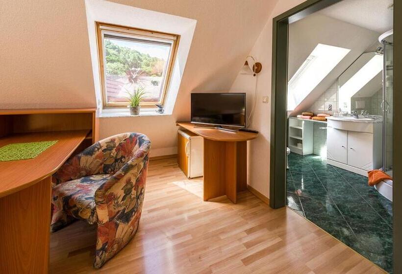 غرفة قياسية مزوَّدة بتراس, Numero1 Pension Und Cafe