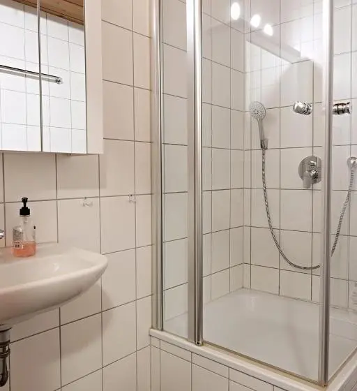 スタンダードルーム, Haus Rheinsheimer Scheuer