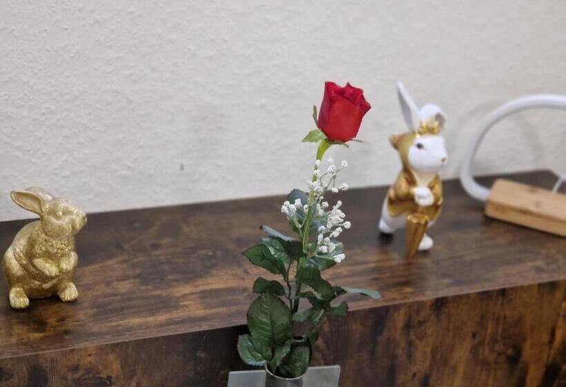 חדר אקונומי, Haus Rheinsheimer Scheuer