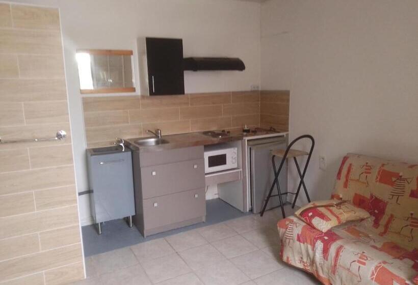 ガーデンビューのスタンダードワンルーム, Appart Hôtel Avec Jardin