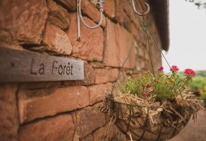 غرفة عائلية, La Douce France