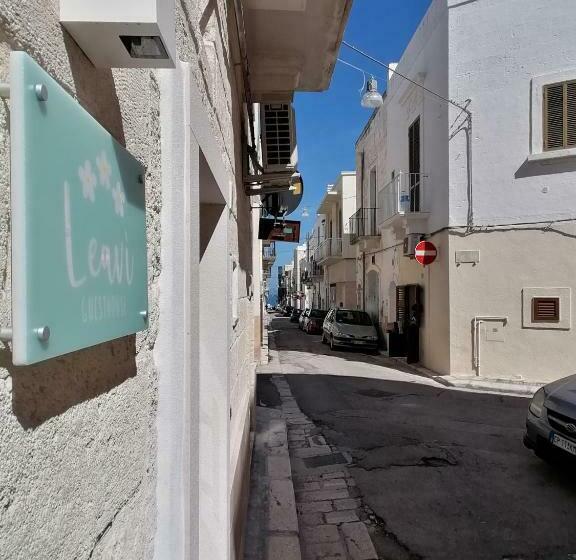 Номер Стандарт, Leavì